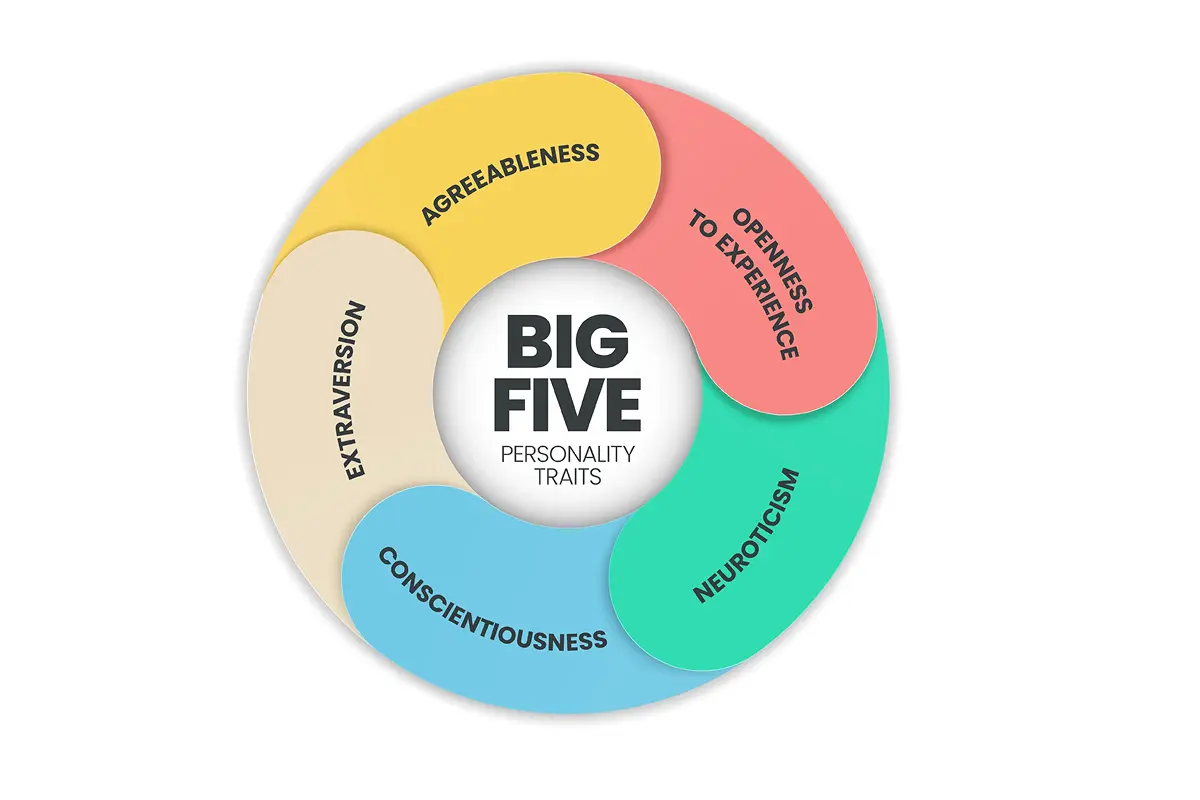 Big 5 Personality Analysis test to understand individual personality traits.