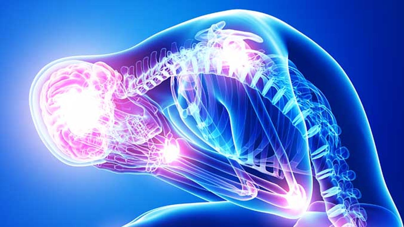 Stress effects on the body